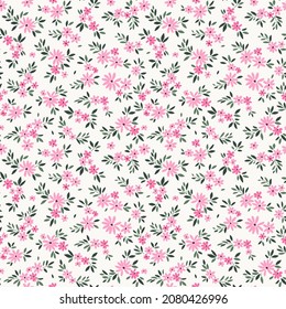 Trendy seamless vector floral pattern. Endless print made of small  daisy pink flowers. Summer and spring motifs. White background. Stock vector illustration.