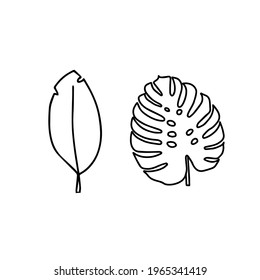 Un elemento separado de moda de la hoja tropical. Palm, monstera. Ilustración de doodle dibujado a mano para decoración, impresión, afiches, diseño textil, postales. Aislado sobre fondo blanco.