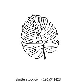 Ein trendiger separater Bestandteil des tropischen Blattes. Palm, Monstera. Handgezeichnete doodle Illustration für Dekoration, Druck, Poster, Stoffdesign, Postkarten. Einzeln auf weißem Hintergrund.