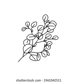 A trendy separate element of the tropical leaf. Eucalyptus, ivy. Hand drawn doodle illustration for decoration, print, posters, textile design, postcards. Isolated over white background.