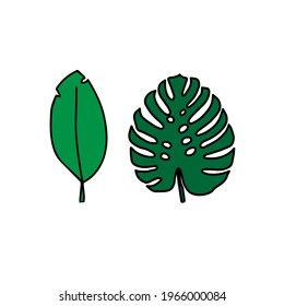 A trendy separate element of the tropical leaf. Palm, monstera. Hand drawn doodle illustration for decoration, print, posters, textile design, postcards. Isolated over white background.