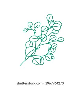 A trendy separate element of the tropical leaf. Eucalyptus, ivy. Hand drawn doodle illustration for decoration, print, posters, textile design, postcards. Isolated over white background.