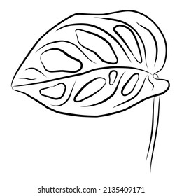 Un elemento separado de moda de la hoja tropical. Palm, monstera. Ilustración de doodle dibujado a mano para decoración, impresión, afiches, diseño textil, postales. Aislado sobre fondo blanco.