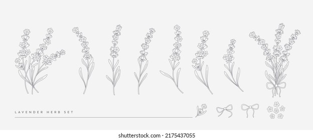 Trendy set of hand-drawn line Lavender illustrations. Perfect for wedding invitations, logo, fabric, packaging, baby products, spa. Herbal, minimalist, botanical collection.