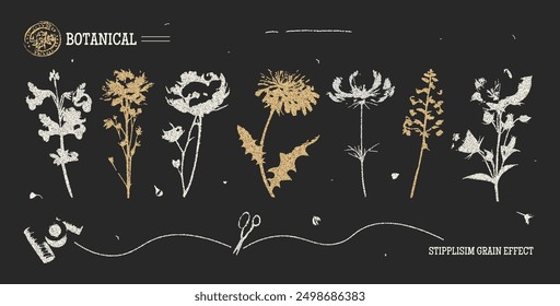 Trendy Set von Pflanzen in Form von Zweigen, getrockneten Blumen, Wildblumen im Vintage-Stil mit einem Retro-Fotokopie-Effekt. Der Effekt von Körnung und gepunkteten Linien. Vektor.