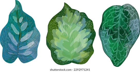 Trendy set of tropical leaves. Flat vector design. Vector design. Seal, jungle. Printing and textiles. exotic tropics. Summer, element for design, print, stickers, tags, fabric, wallpaper