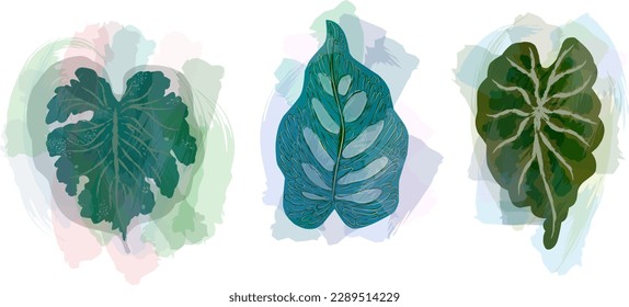 Trendy set of tropical leaves with translucent strokes. Vector design. Seal, jungle. Printing and textiles. exotic tropics. Summer