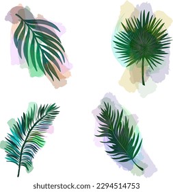 Conjunto moderno de hojas tropicales con trazos translúcidos. Diseño de vectores. Sello, jungla. Impresión y textiles. tropicales exóticos. Verano. Diseño vectorial plano