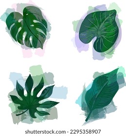 Conjunto moderno de hojas tropicales con trazos translúcidos. Diseño de vectores. Sello, jungla. Impresión y textiles. tropicales exóticos. Verano. Diseño vectorial plano
