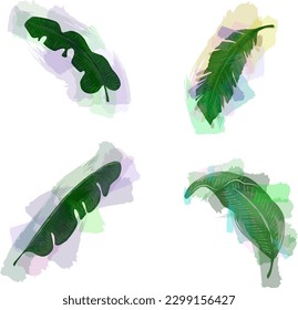 Trendy set of tropical leaves with translucent strokes. Vector design. Seal, jungle. Printing and textiles. exotic tropics. Summer. Flat vector design