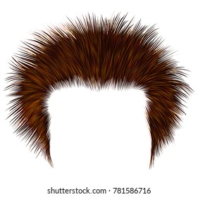 trendy shaggy man hairs Ginger colour.
beauty style.high hair styling .
