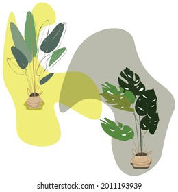 Trendy social media abstract colors in popular art style .Abstract colorful vector illustrations. Abstract compositions, designs for posters, Bonsai banana and palm. 