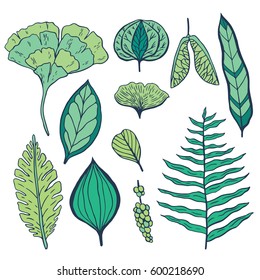 Trendy spring design. Hand drawn vector set with leaves and nature elements