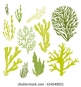 Trendy summer seaweed design. Seamless vector pattern.