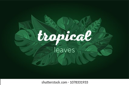 Trendy Summer Tropical Leaves. Vector background