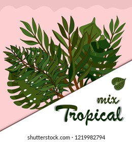 Trendy Summer Tropical Leaves Vector Design
