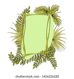 Trendy Summer Tropical Leaves Vector Design