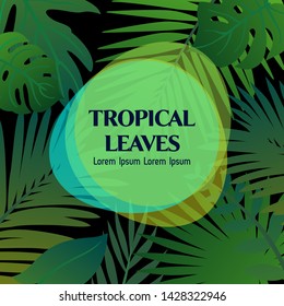 Trendy Summer Tropical Leaves Vector Design.