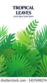 Trendy Summer Tropical Leaves Vector Design. May be used for invitations, banners or flyers.