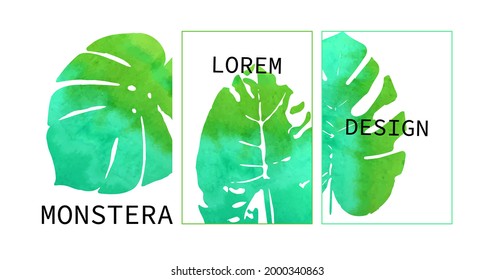 Trendy Summer Tropical Leaves Vector Design. On a white background. A set of templates.