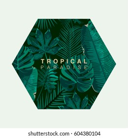 Trendy Summer Tropical Leaves Vector Design