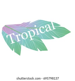 Trendy Summer Tropical Leaves Vector Design