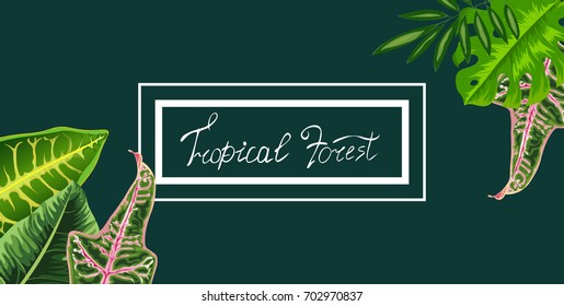 Trendy Summer Tropical Leaves Vector Design Exotic