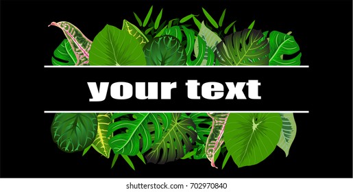 Trendy Summer Tropical Leaves Vector Design Exotic