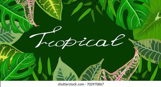 Trendy Summer Tropical Leaves Vector Design Exotic