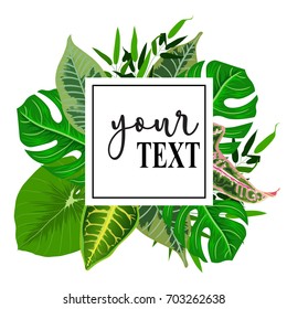 Trendy Summer Tropical Leaves Vector Design Exotic