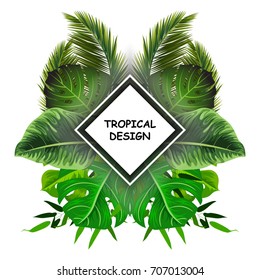 Trendy Summer Tropical Leaves Vector Design Exotic