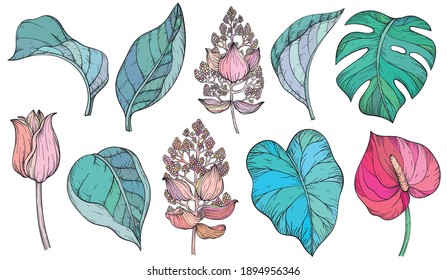 Trendy summer tropical palm leaves and flowers, jungle plants. Vector set