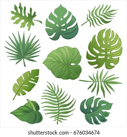 Trendy summer tropical palm leaves, jungle leaves. Vector set isolated on white background.