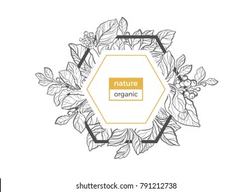 Trendy template of geometrical nature frame. Symbol of organic. Floral bouquet Card of mate branch with berry, leaf, flower Art deco Logo in hexagon Vector golden summer label Retro sketch Copy space 