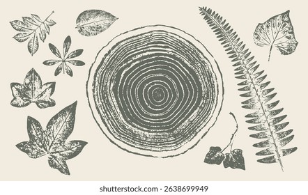 Trendy tree rings ivy vines and leaves for logo or decorations. Hand drawn line elegant leaves for invitation card. Botanical rustic trendy vector art. 