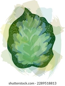 Trendy tropical leaf with translucent strokes. Vector design. Seal, jungle. Printing and textiles. exotic tropics. Summer