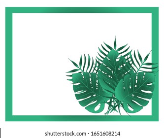 Trendy tropical leaves in a frame, summer design. Copy space. White isolated background. Design for cards, banner, greetings, invitations. Vector illustration