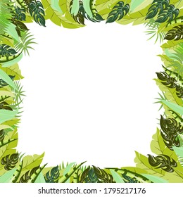 Trendy tropical leaves nature vector poster in a vary green light shades and tones colors