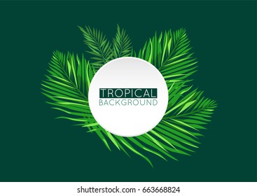 Trendy tropical summer background design. Vector botanical green frame with jungle palm leaves, isolated, with place for your text