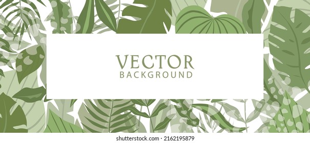 Trendy vector abstract banner template, poster with floral elements and plants. Vector background for banner or poster design, floral background spring and summer