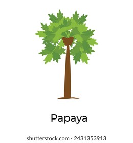 Diseño vectorial de moda del árbol de brachychiton 