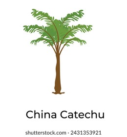 Trendy vector design of brachychiton tree 