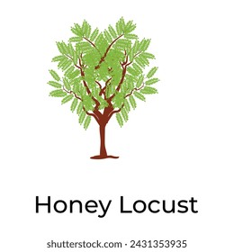 Trendy vector design of brachychiton tree 