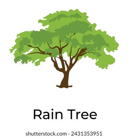 Diseño vectorial de moda del árbol de brachychiton 
