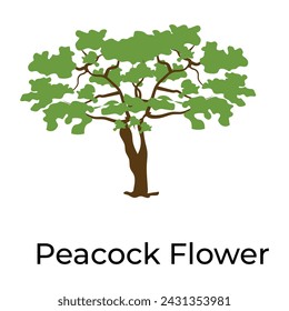 Trendy vector design of brachychiton tree 