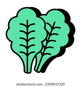 Trendy vector design of lettuce 