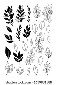 Trendy vector foliage drawings in linear style. Black elements of hand drawn greenery branch and leaves. Line and silhouette. Perfect logo for your brand: packaging, cosmetic, jewelry, shops, magazine