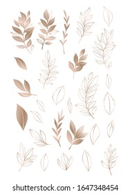 Trendy vector foliage drawings in linear style. Golden elements of hand drawn greenery branch and leaves. Line and silhouette. 