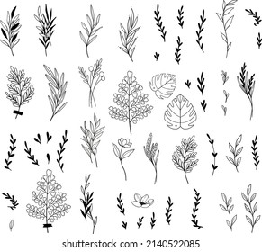 Trendy vector foliage drawings in linear style. Black elements of hand drawn greenery branch, flowers, herbs and leaves. Line and silhouette. Perfect logo for your brand: packaging, cosmetic, jewelry