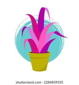 Trendy vector house plant in pot illustration